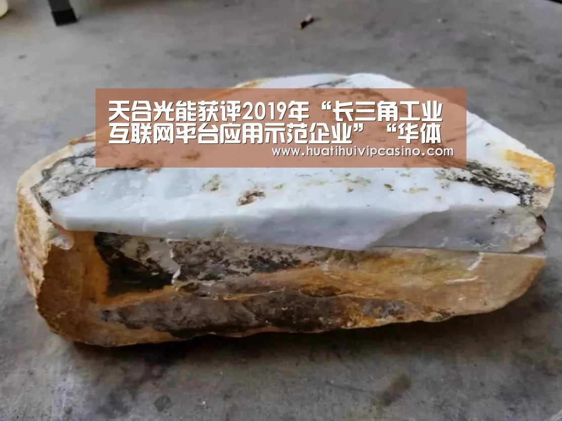 天合光能获评2019年“长三角工业互联网平台应用示范企业”“华体会赛事”(图1) 华体会平台